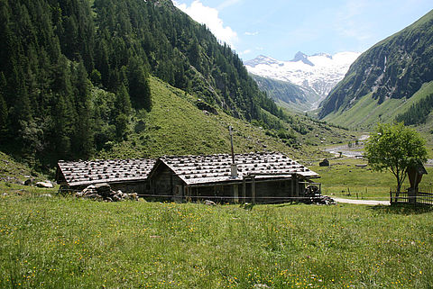 Traditionell gedeckte Almgebaeude im Habachtal