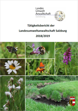 Tätigkeitsbericht 2018/19