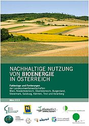 Deckblatt LUAs Bioenergie