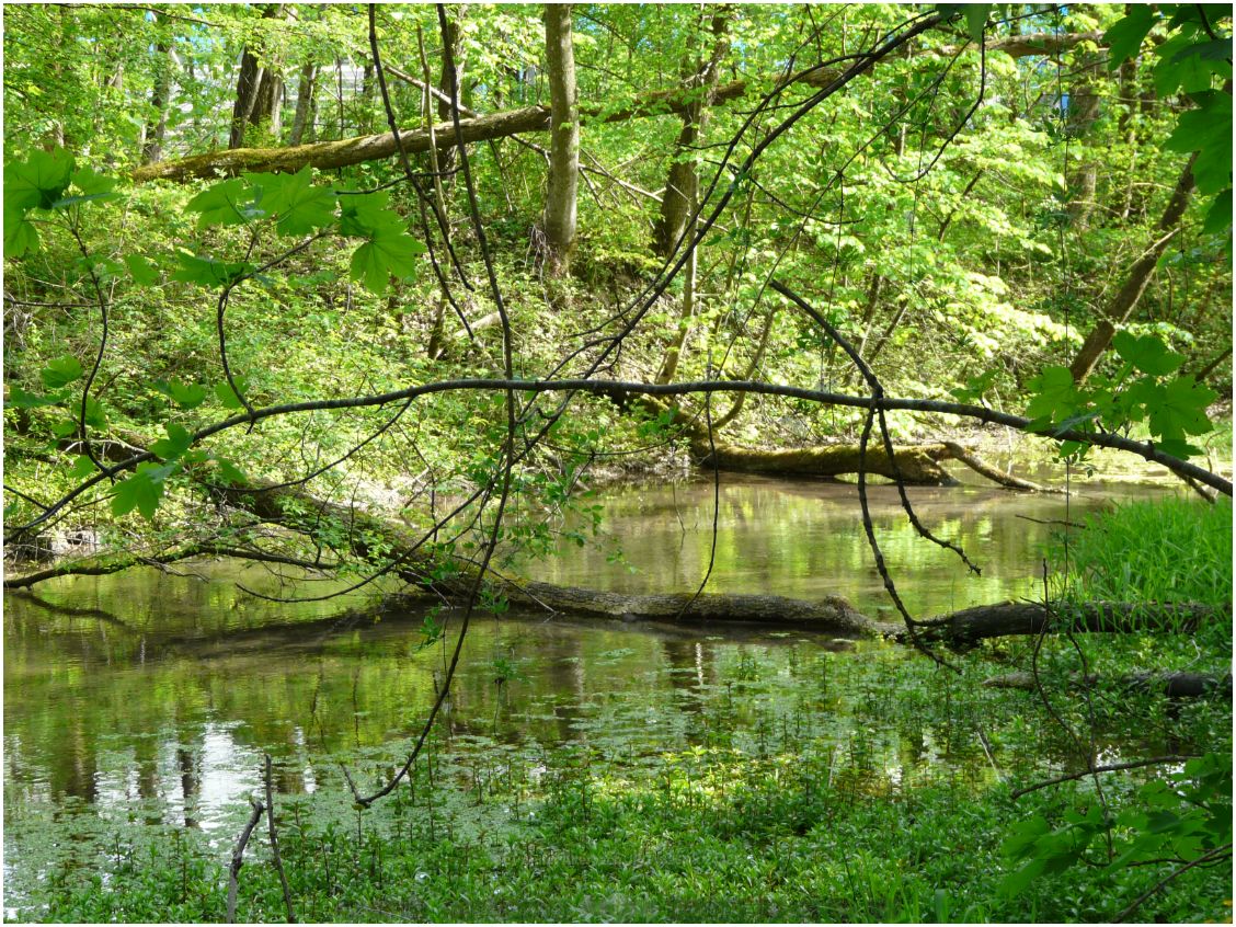 GLT Anifer Alterbach